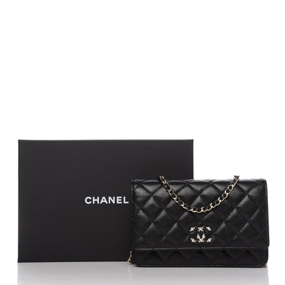 Chanel Caviar Quilted Coco Candy Wallet On Chain WOC Black 12 of 12