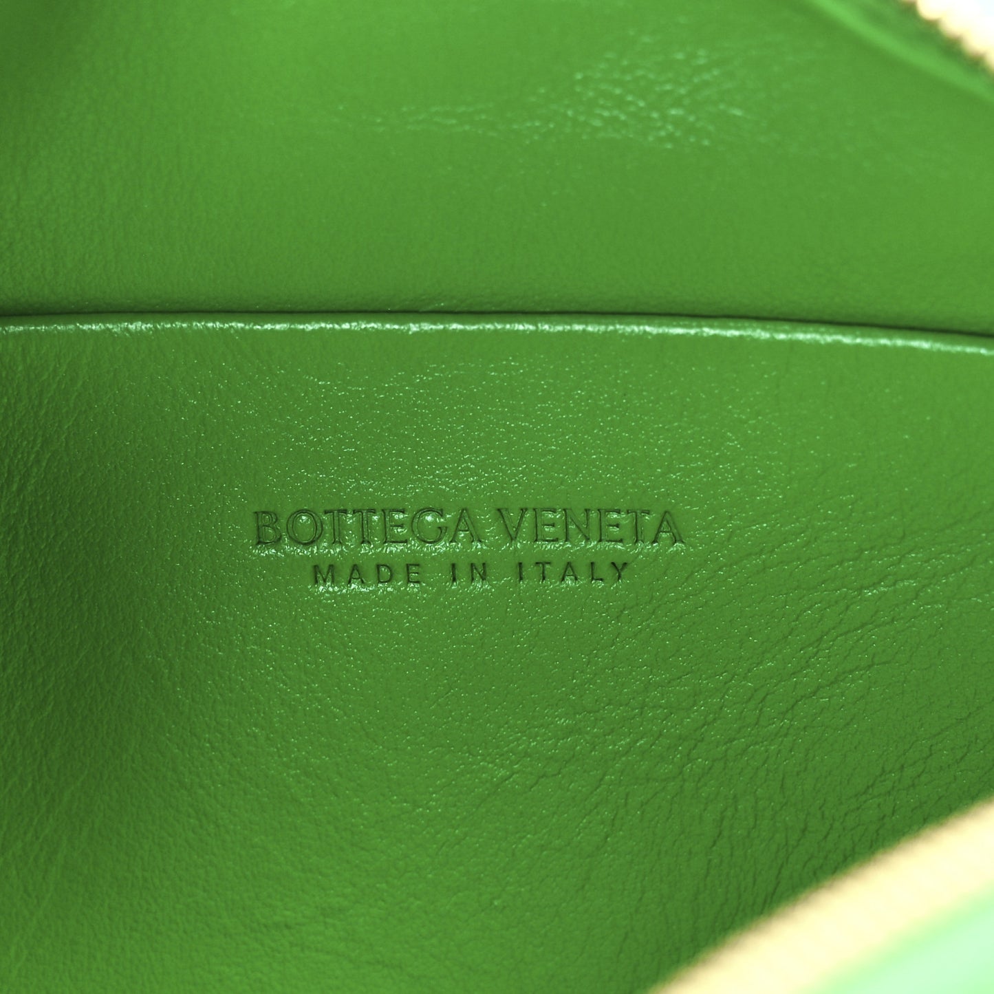 Nappa Intrecciato Mini Loop Camera Bag Parakeet