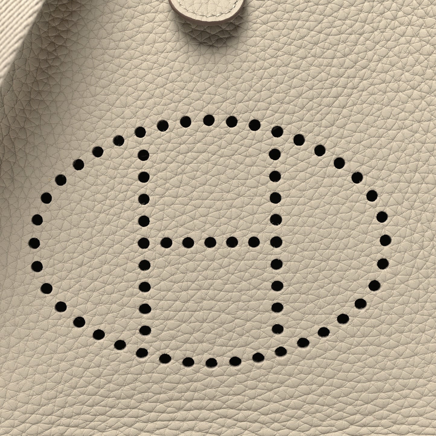 Taurillon Clemence Amazone Evelyne TPM Beton