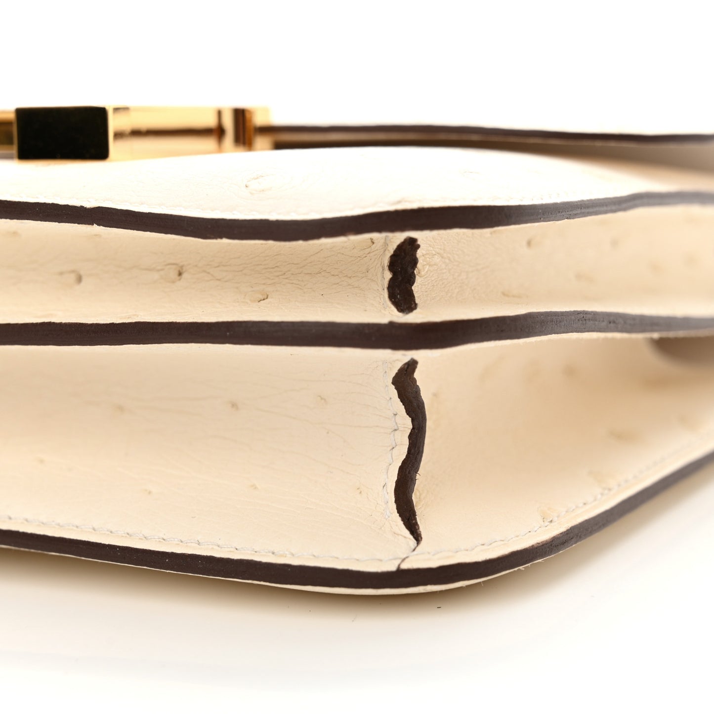 Ostrich Constance 18 Nata