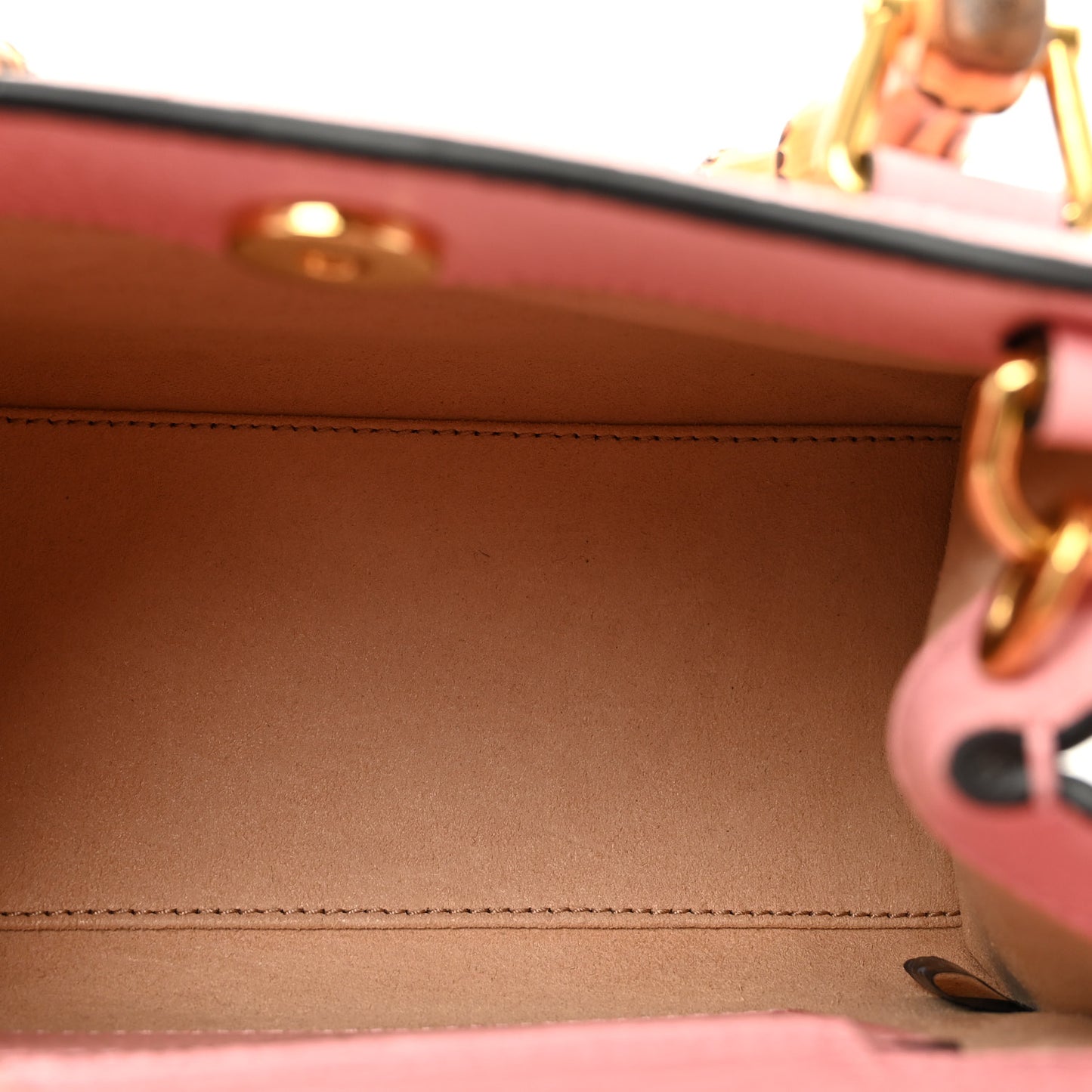 Textured Dollar Calfskin Web Mini Diana Tote Bag Wild Rose Black