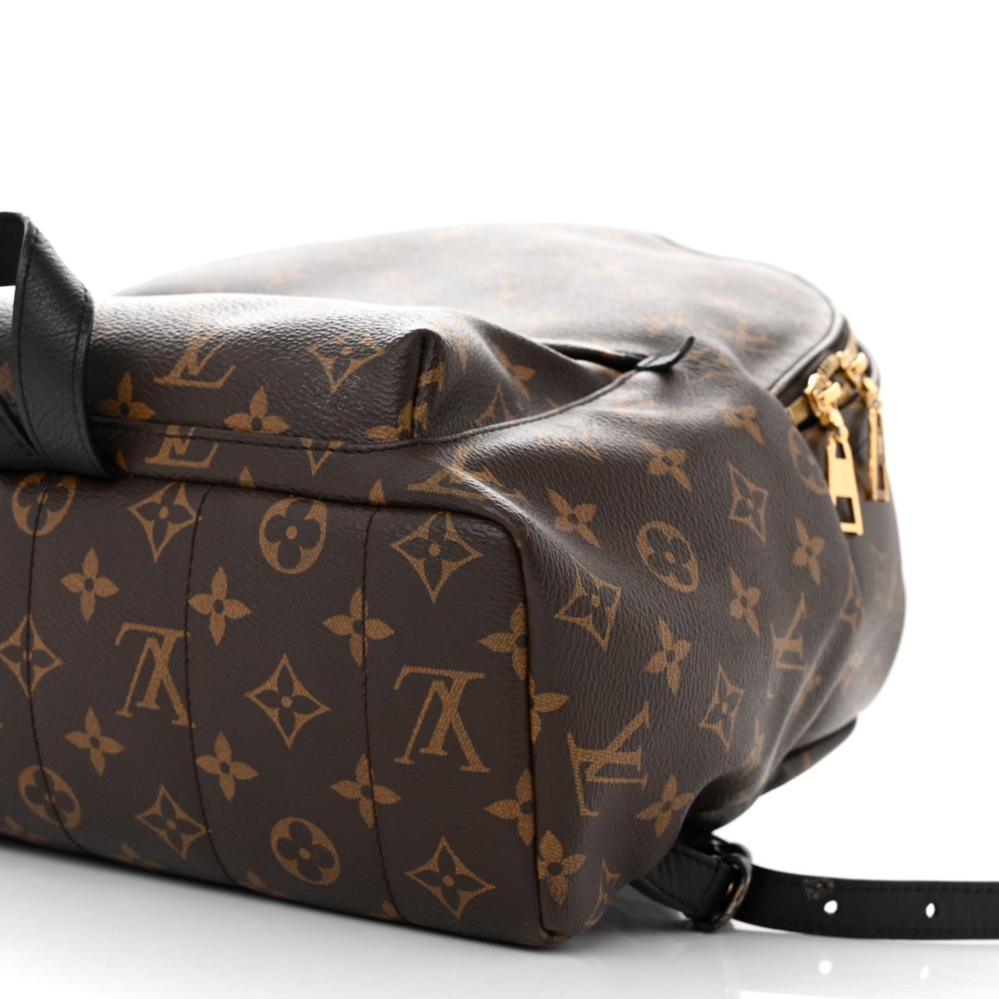 Monogram Palm Springs Backpack MM