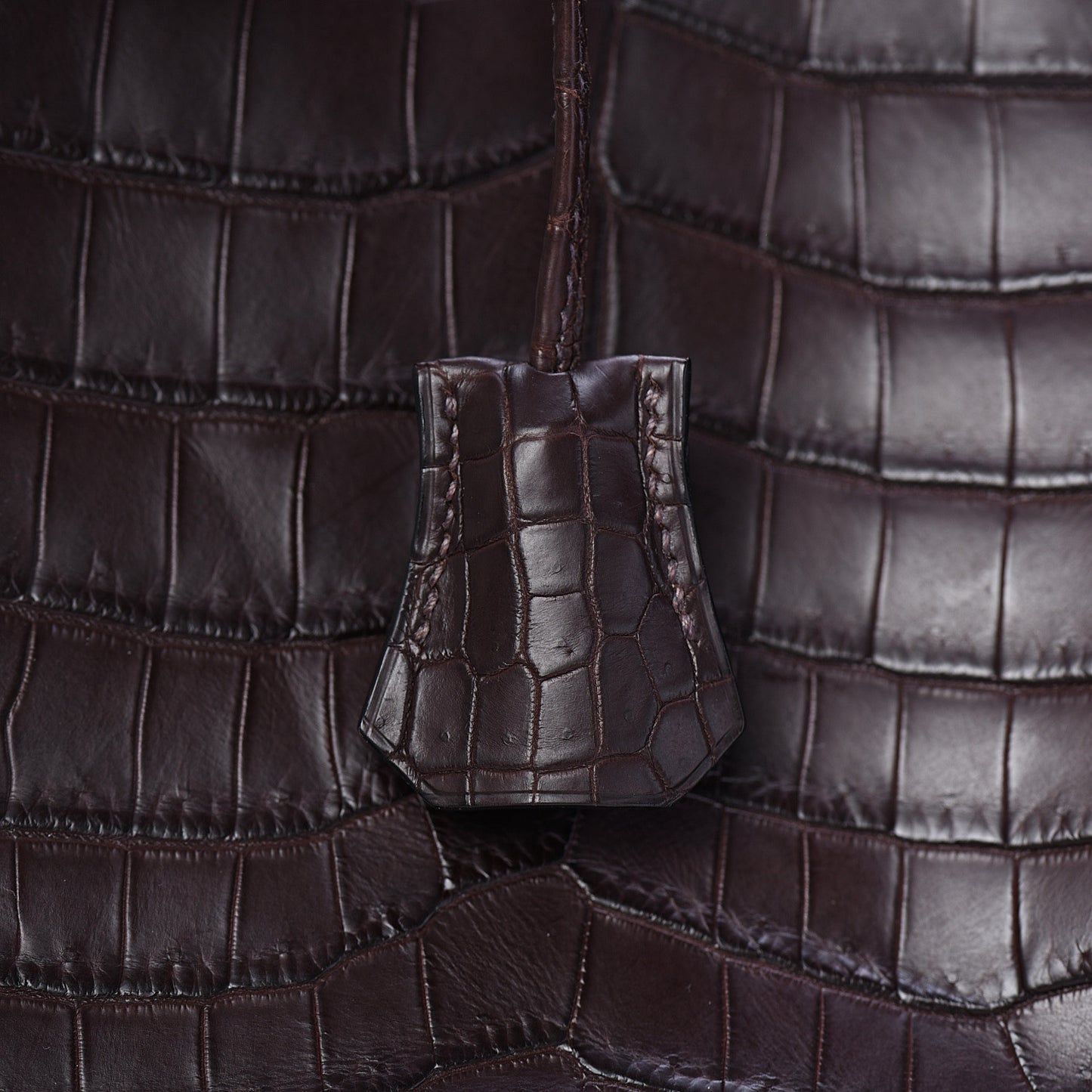 Matte Crocodile Birkin 35 Chocolate