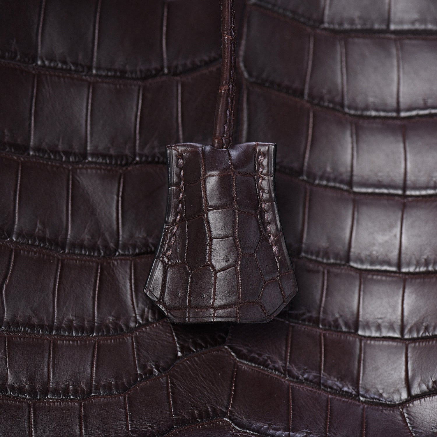 Hermes Matte Crocodile Birkin 35 Chocolate 25 of 37