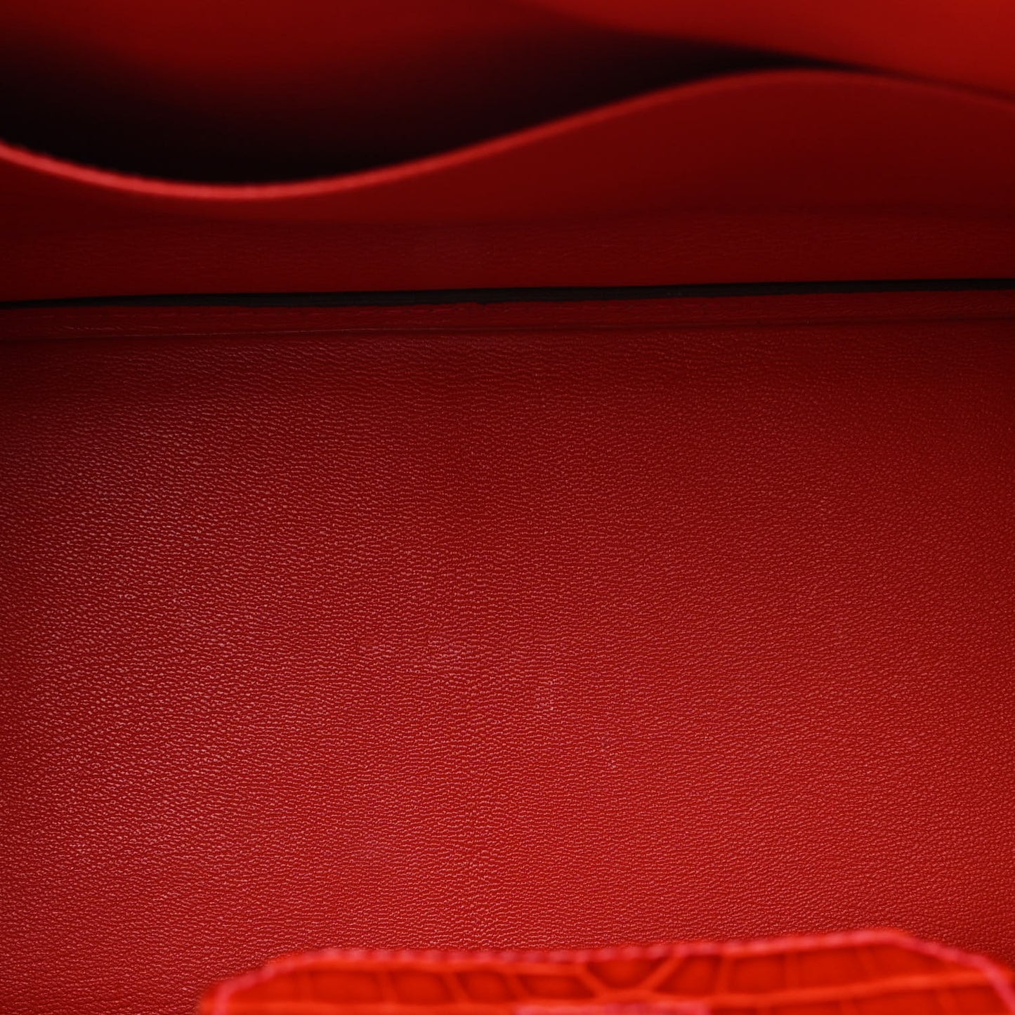 Shiny Niloticus Crocodile Birkin 30 Sanguine