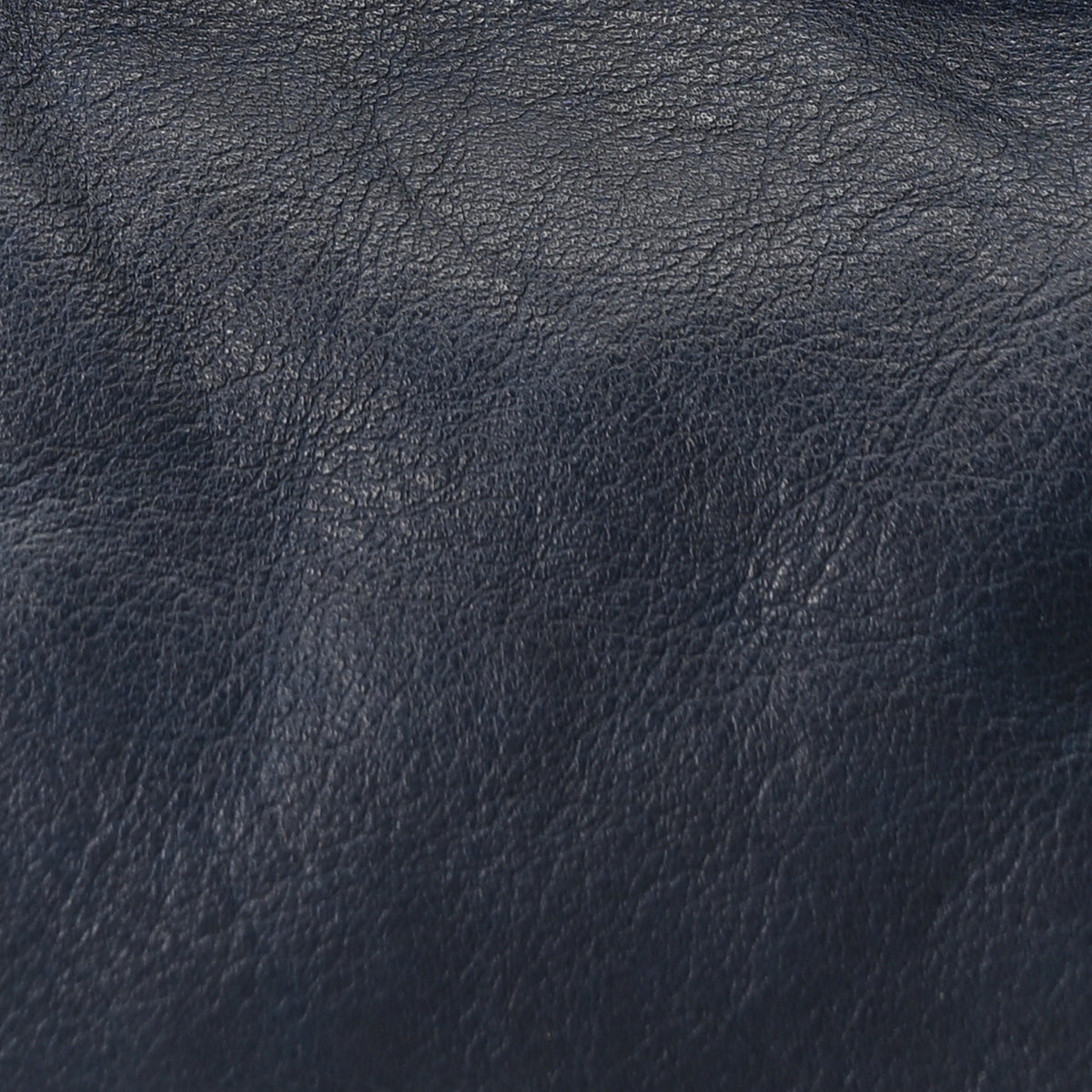 Calfskin Canvas Medium Muse Two Navy