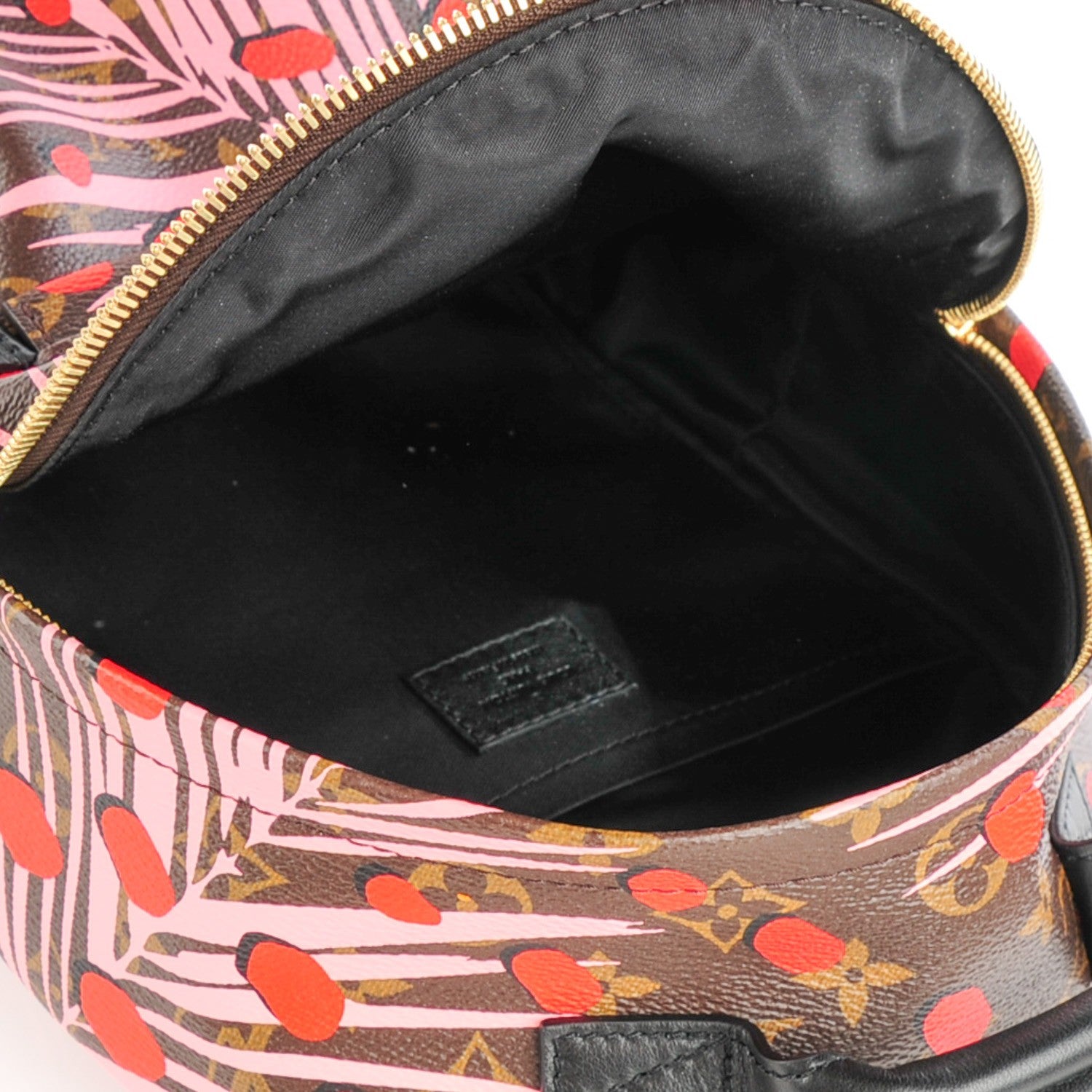 Louis Vuitton Monogram Jungle Dots Palm Springs Backpack PM Sugar Pink Poppy 5 of 7