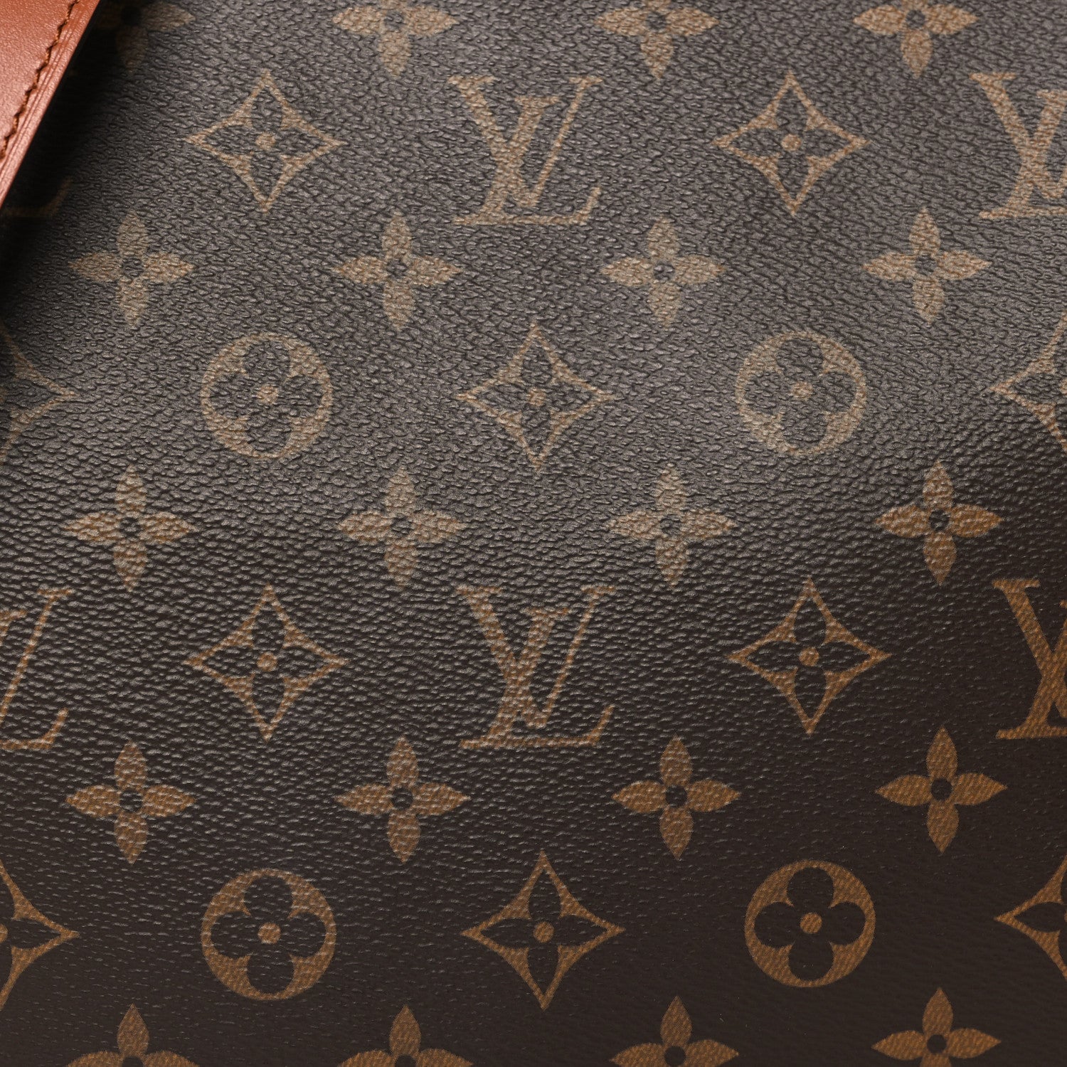 Louis Vuitton Reverse Monogram Loop Hobo 7 of 10