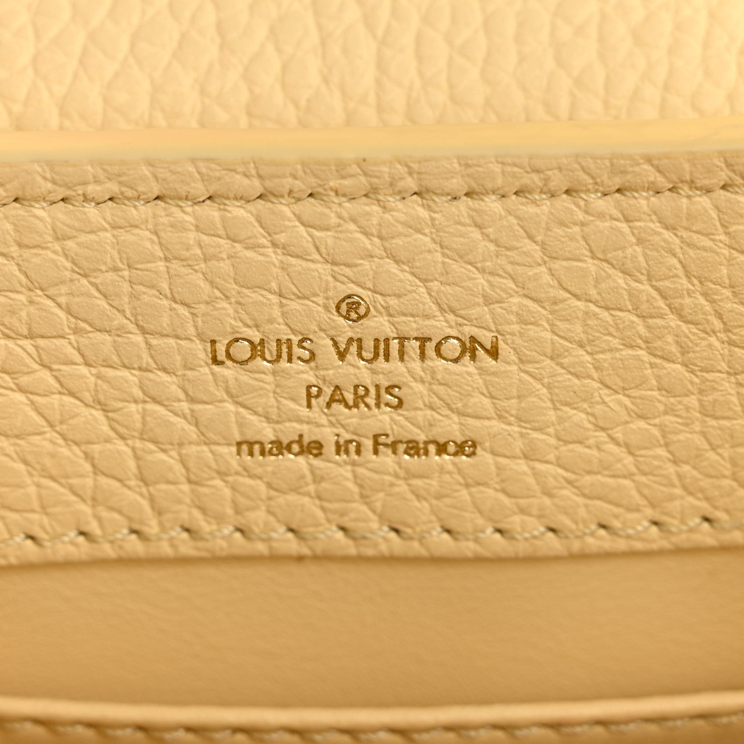 Louis Vuitton Taurillon Snakeskin Mini Capucines Banane 6 of 13
