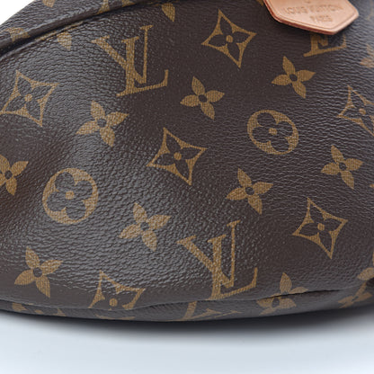 Louis Vuitton Monogram Bumbag 7 of 9