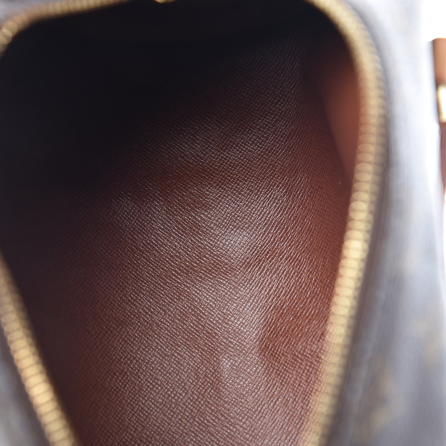 Monogram Papillon 26