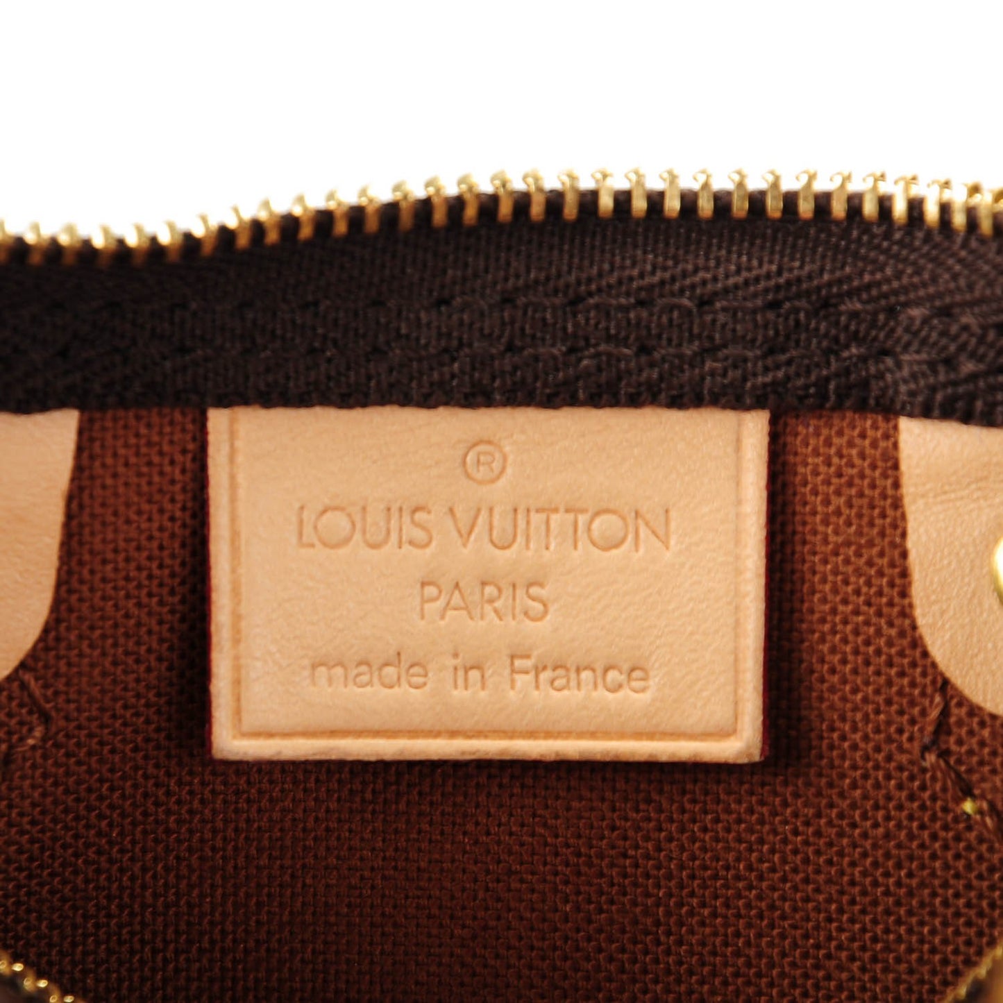 Monogram Nano Speedy