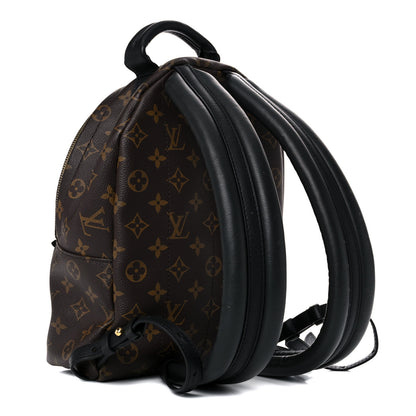 Louis Vuitton Monogram Palm Springs Backpack PM 3 of 14