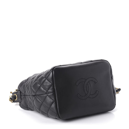 Chanel Lambskin Quilted Small Hobo Black 4 of 10