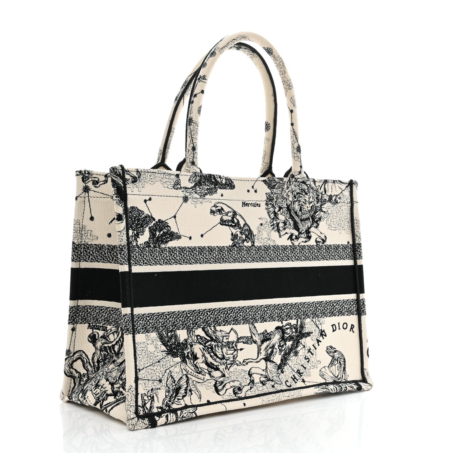 Canvas Zodiac Toile De Jouy Embroidered Medium Book Tote Latte