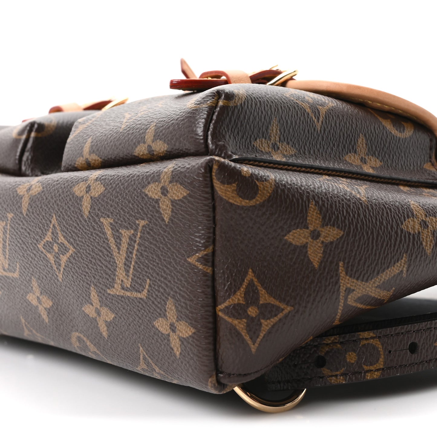 Monogram Excursion PM Backpack
