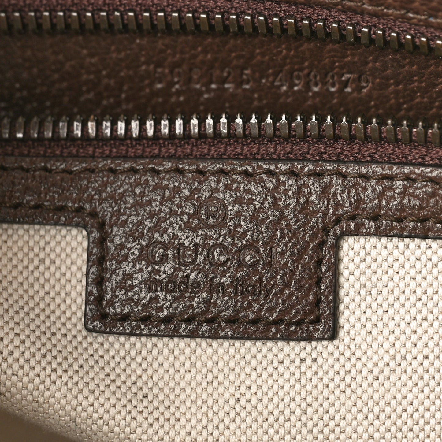 GG Supreme Monogram Web Small Ophidia Half Moon Hobo Brown