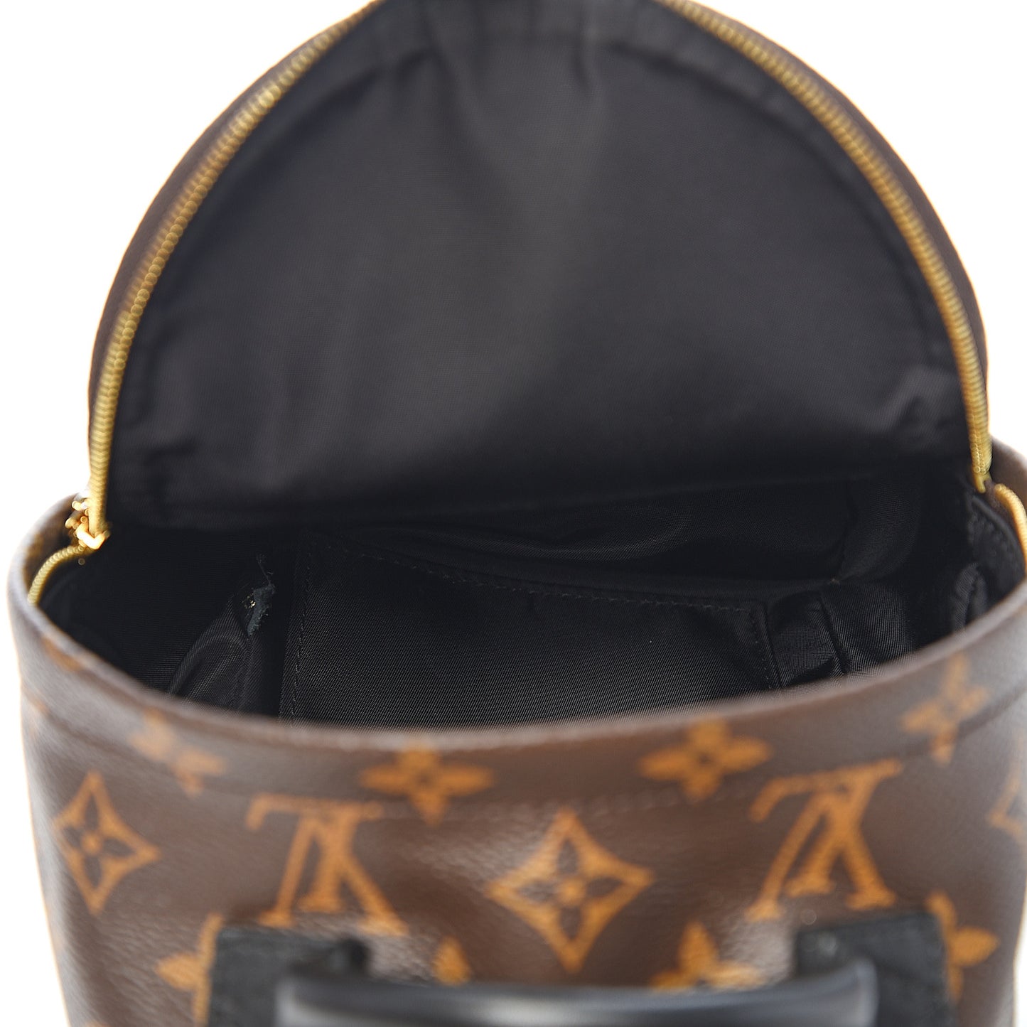 Monogram Palm Springs Backpack Mini
