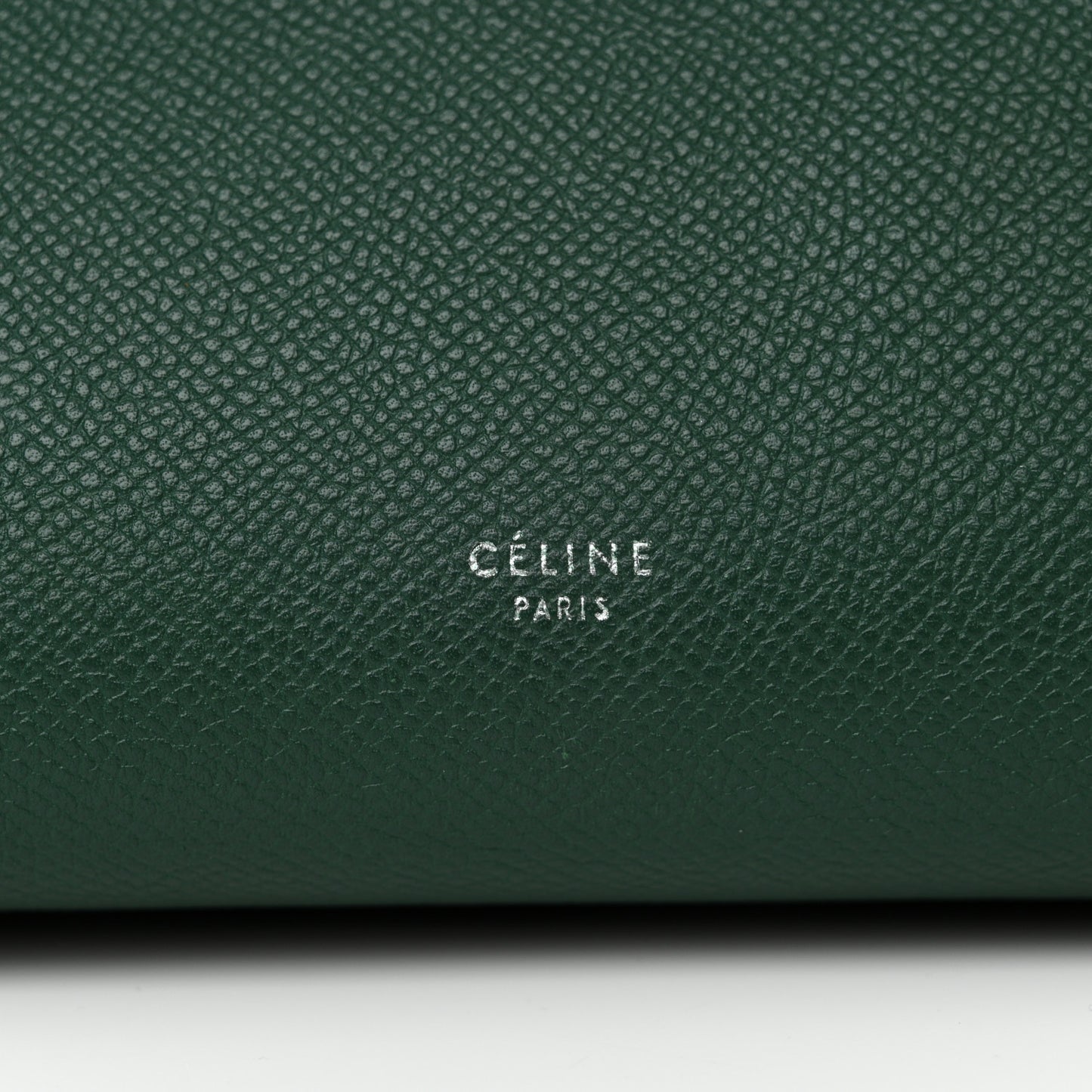 Grained Calfskin Mini Belt Bag Forest