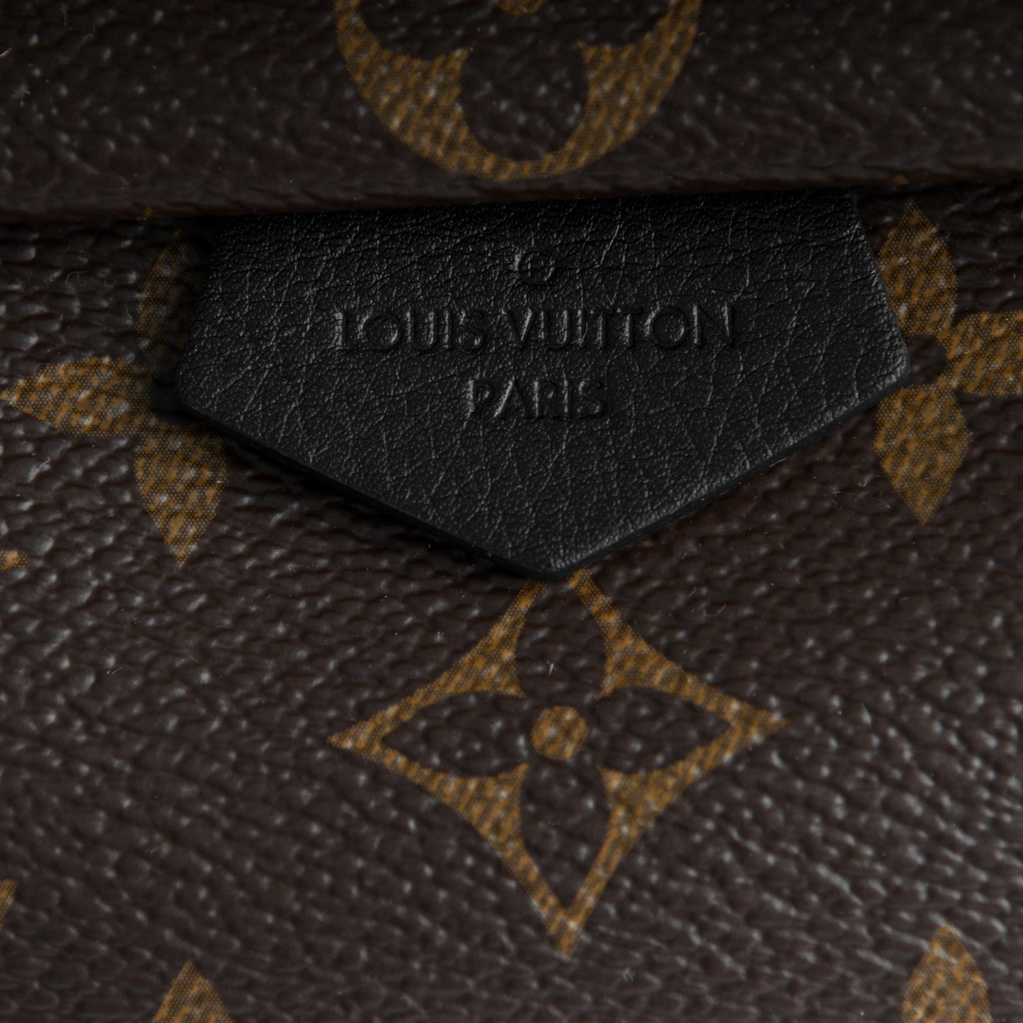Monogram Palm Springs Backpack Mini