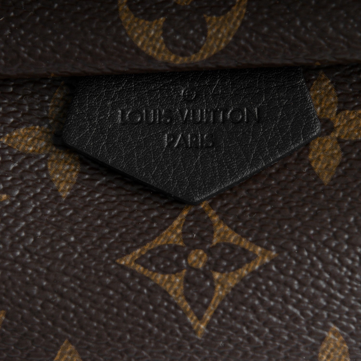 Louis Vuitton Monogram Palm Springs Backpack Mini 6 of 7