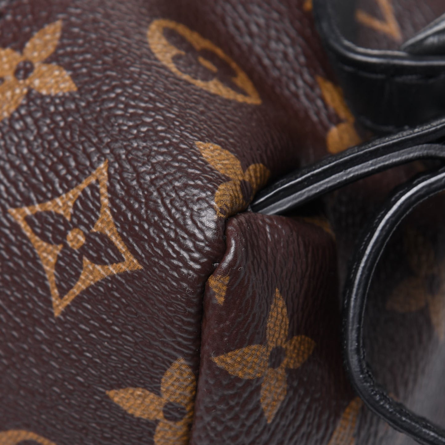 Monogram Palm Springs Backpack PM