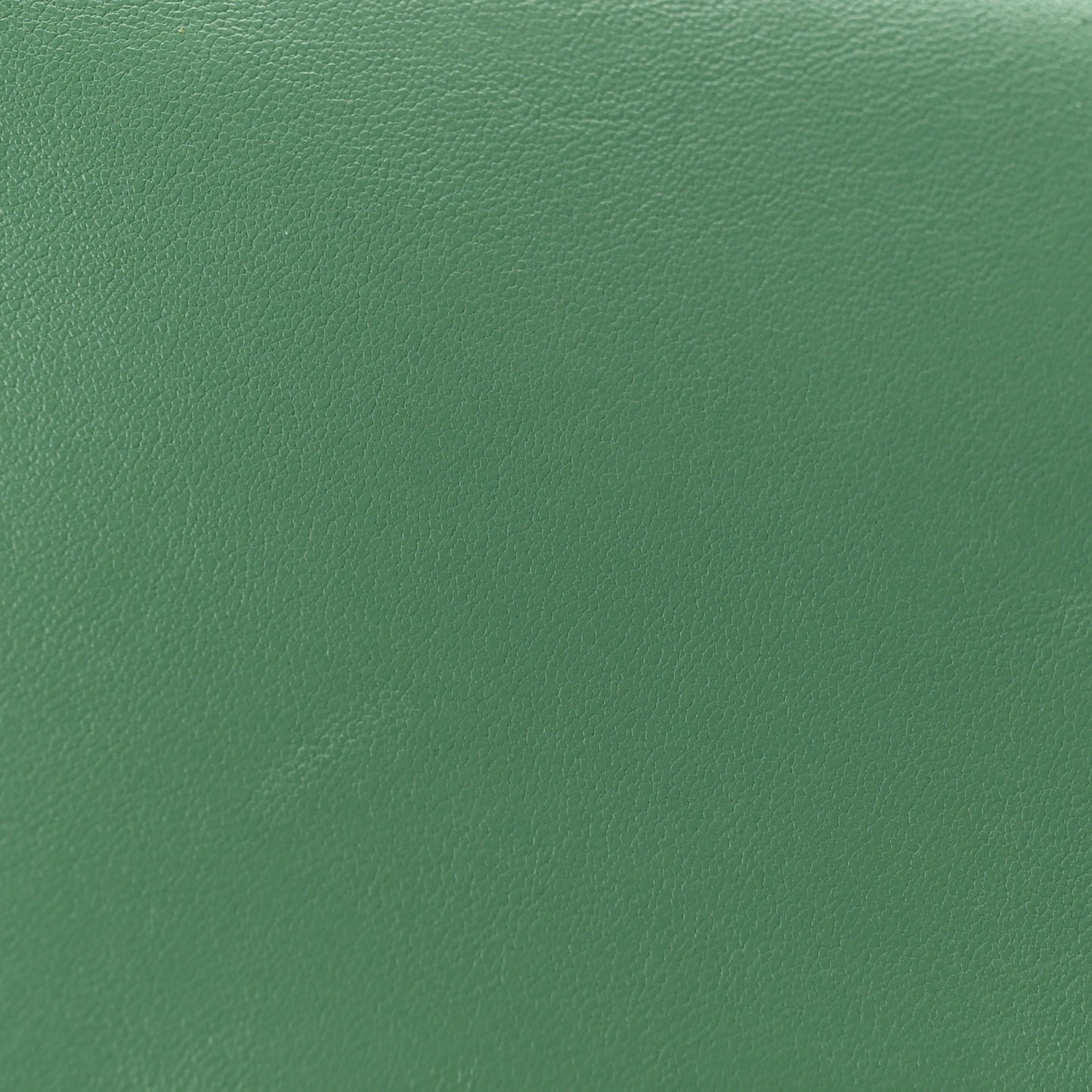 Lambskin Quilted Mini Logo Flap With Handle Green