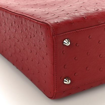 Christian Dior Ostrich Large Lady Dior Dark Brick 7 of 8
