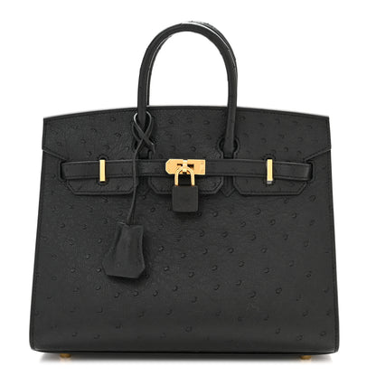 Hermes Ostrich Birkin Sellier 25 Black 1 of 11