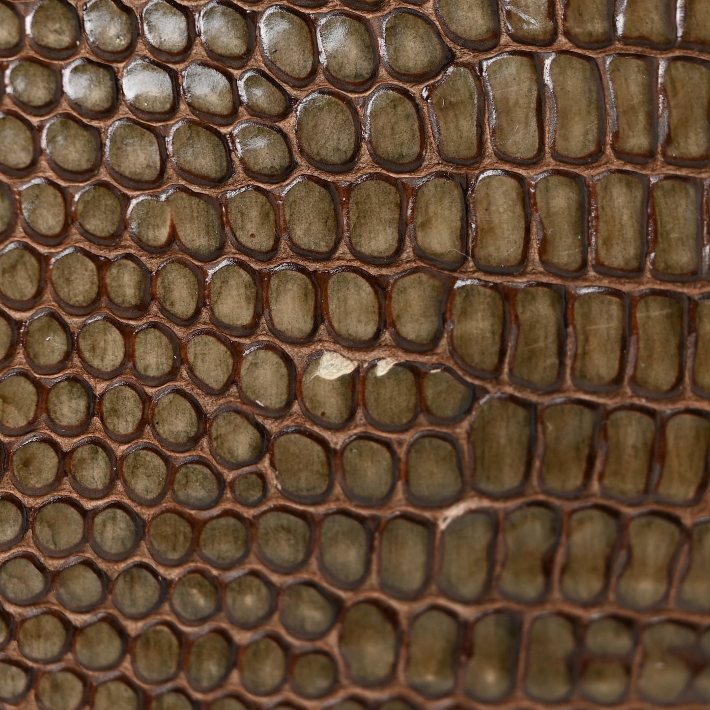 Lizard Embossed Calfskin Riki Bag Green