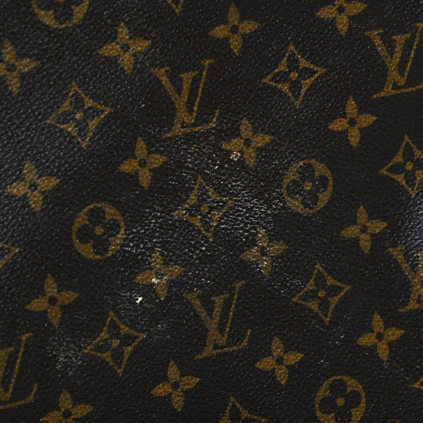 Monogram Garment Bag