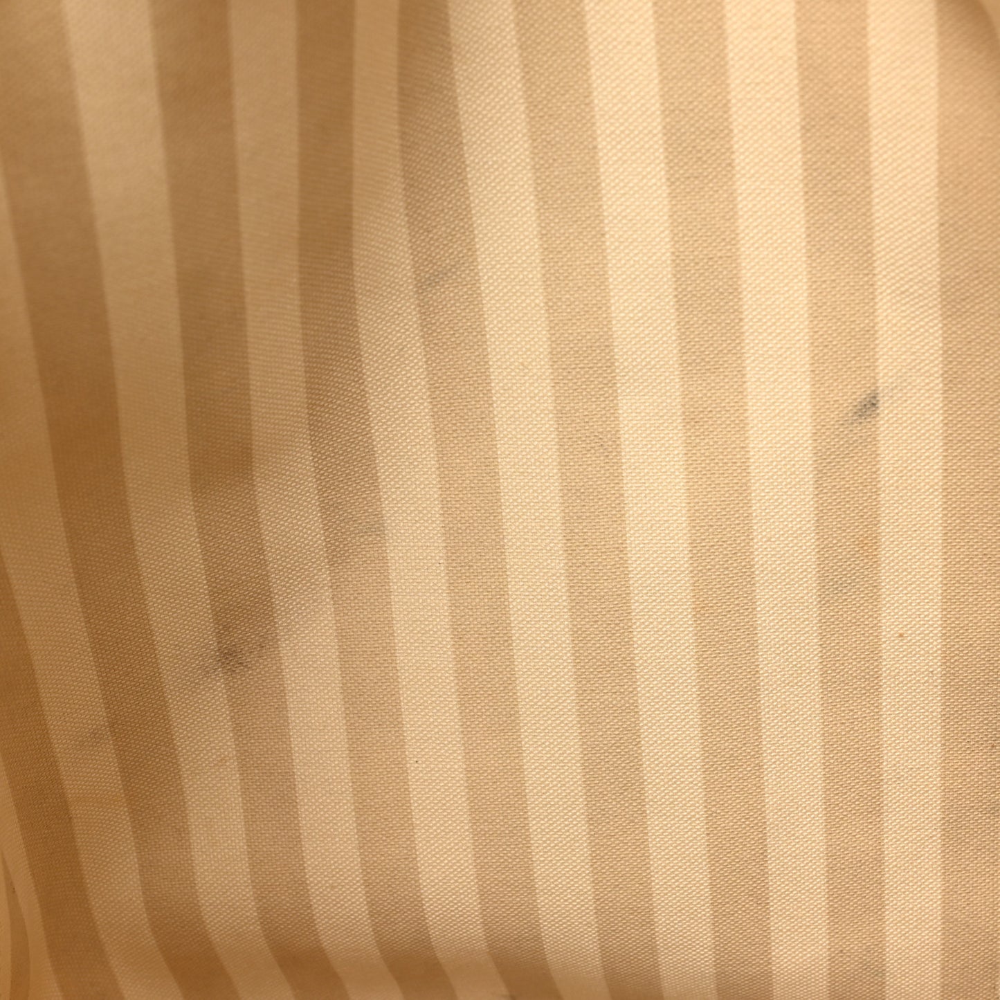 Monogram Rayures Noe