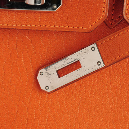 Hermes Chevre de Coromandel Birkin 30 Potiron 24 of 28