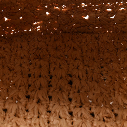 Celine Raffia Calfskin Triomphe Panier Hobo Bag Natural Tan 5 of 9