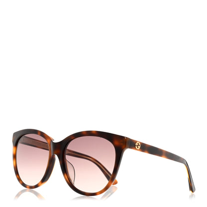 Gucci Acetate GG Sunglasses GG0081SK Tortoise 1 of 8
