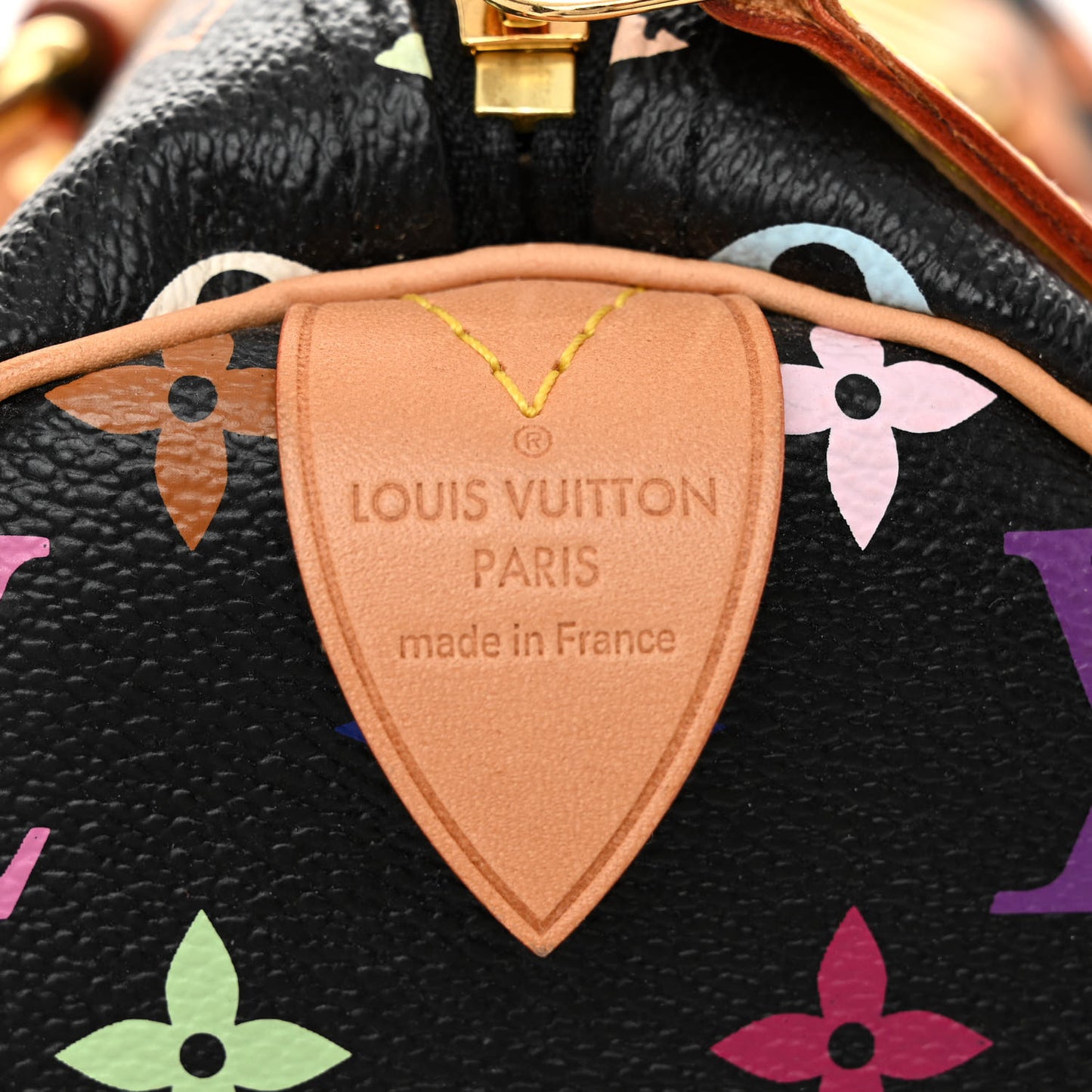 Monogram Multicolor Speedy 30 Black