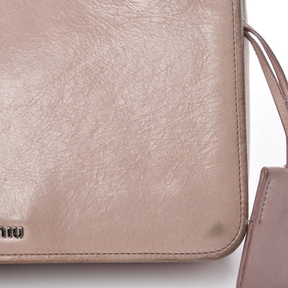 Miu Miu Vitello Shine Club Shoulder Bag Mughetto 17 of 29