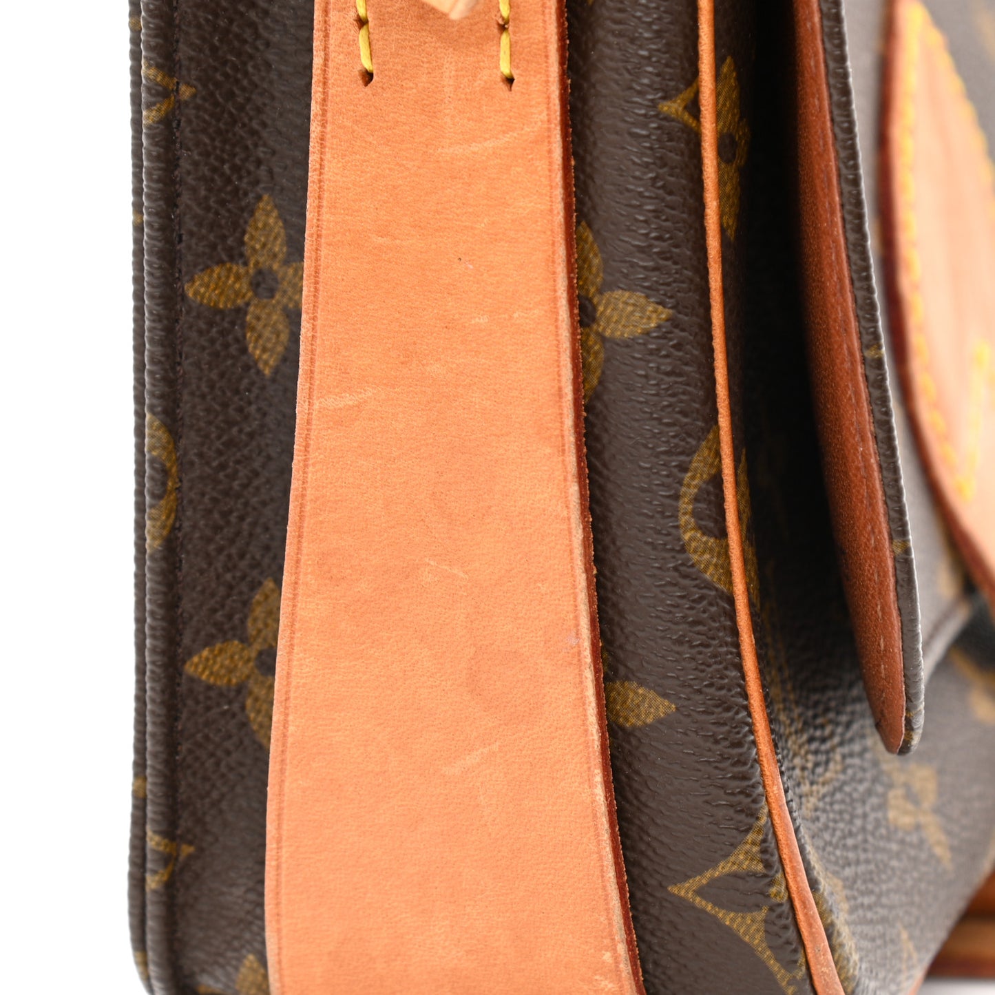 Monogram Cartouchiere 22