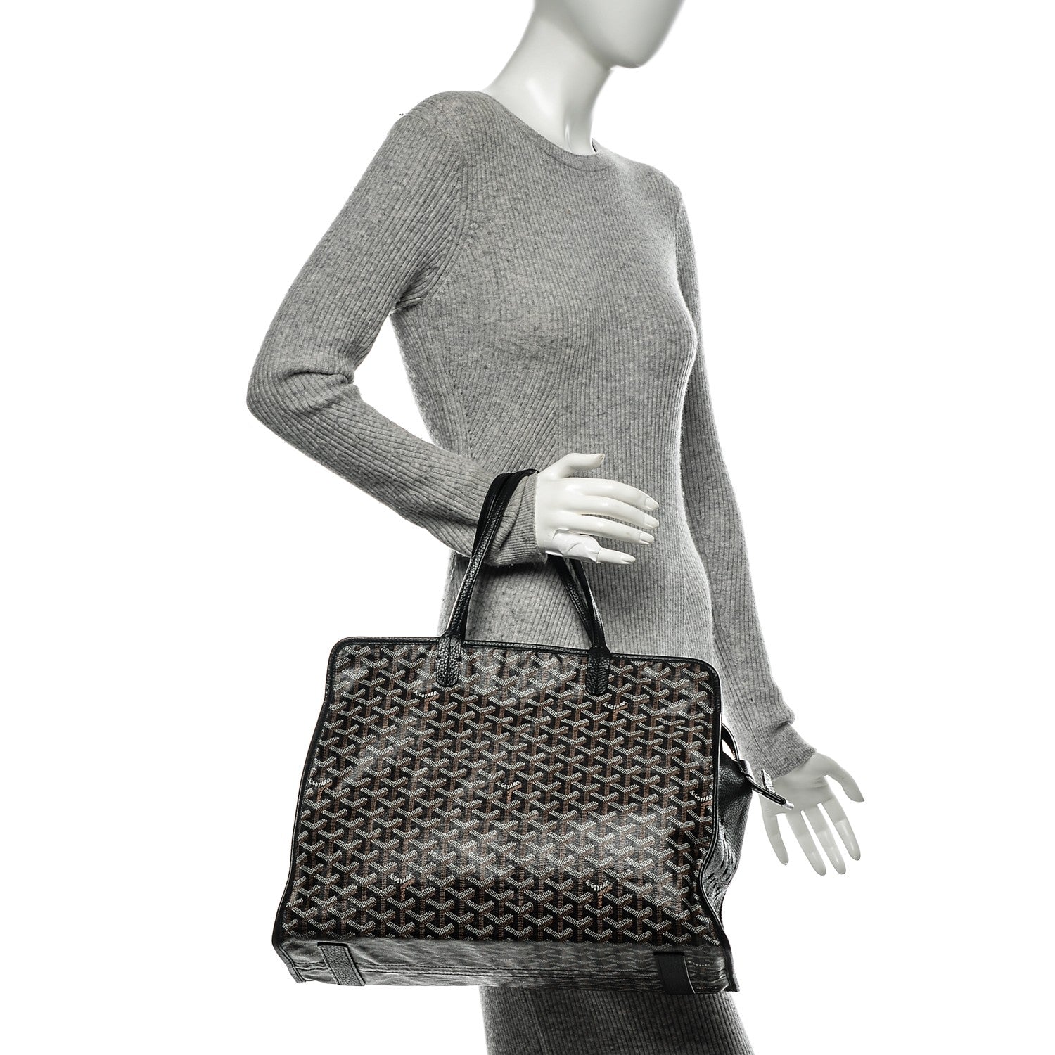Goyard Goyardine Sac Hardy Pet Carrier PM Black 2 of 12
