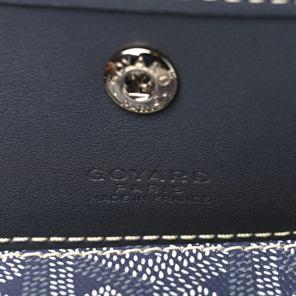 Goyard Goyardine Saint Louis PM Grey 7 of 11