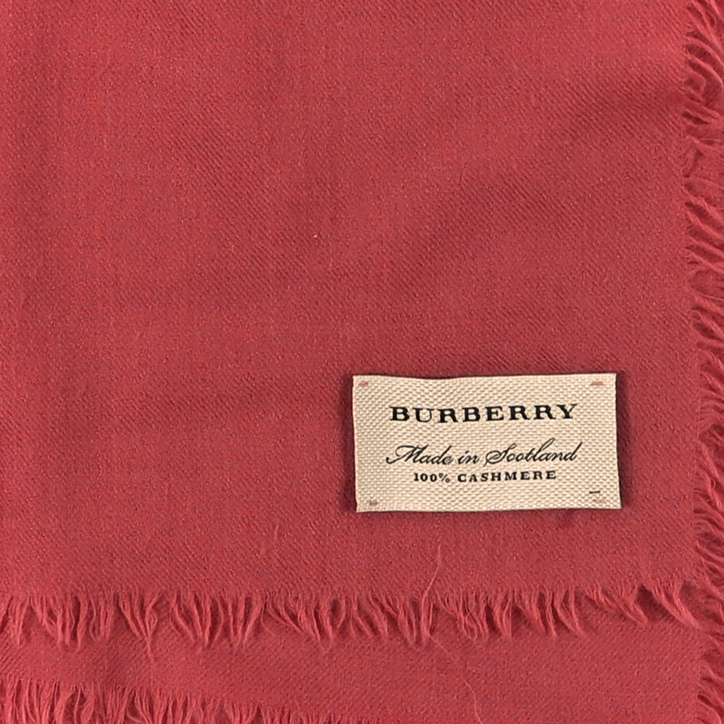 Cashmere Embroidered Fringe Scarf Fuchsia