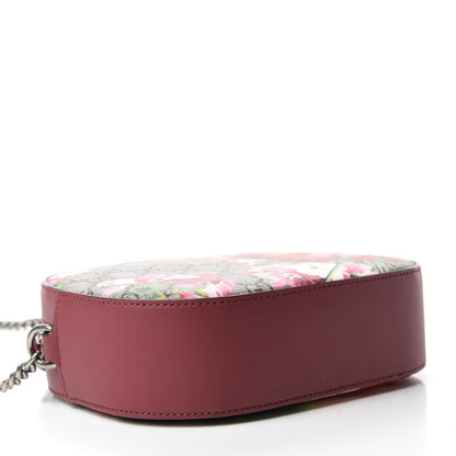 Gucci GG Supreme Monogram Blooms Mini Chain Shoulder Bag Beige Multicolor Dry Rose 4 of 11