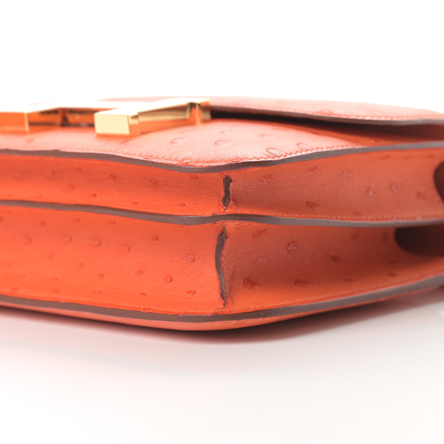 Ostrich Constance 18 Tangerine