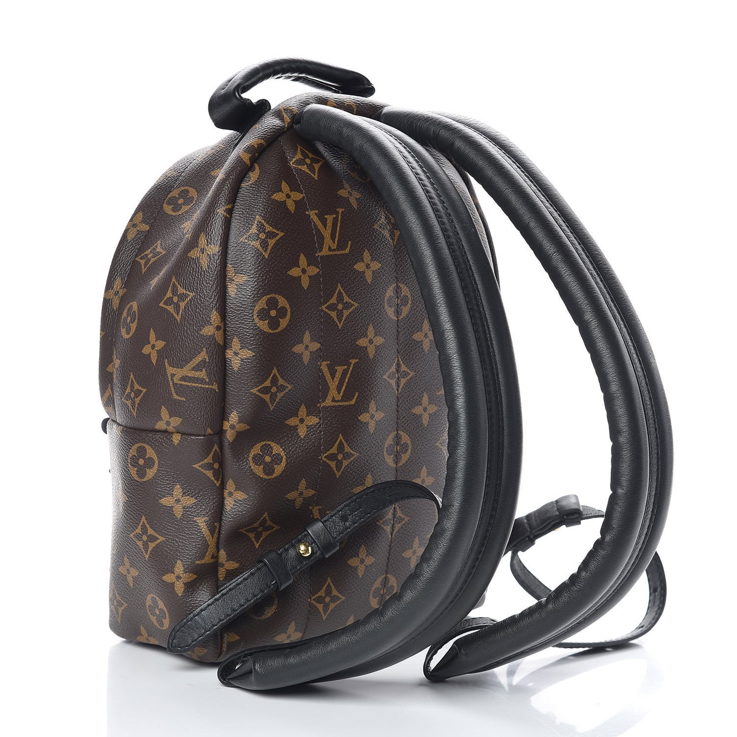 Monogram Palm Springs Backpack PM