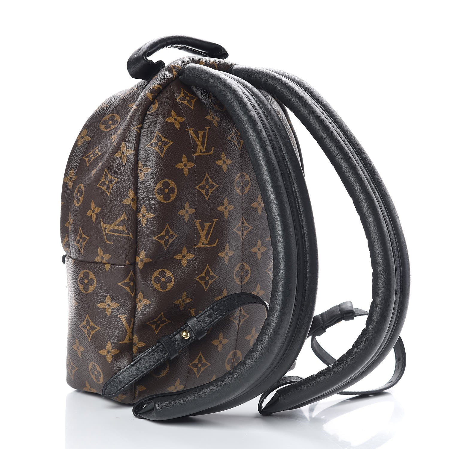 Louis Vuitton Monogram Palm Springs Backpack PM 3 of 9