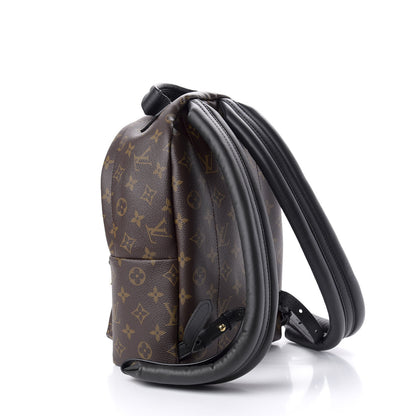 Louis Vuitton Monogram Palm Springs Backpack PM 2 of 8