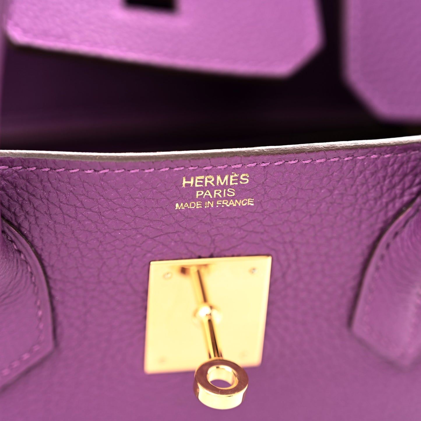 Togo Birkin 30 Anemone