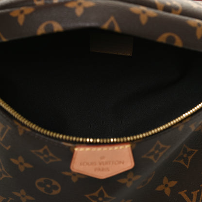 Louis Vuitton Monogram Bumbag 5 of 9