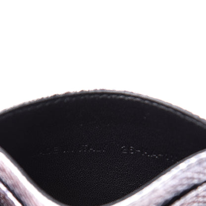 Christian Dior Karung Lady Dior Card Holder Vieil Argent 7 of 9