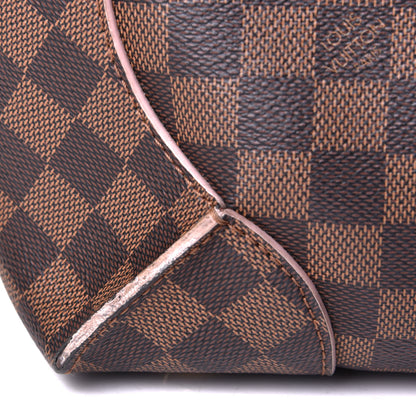 Louis Vuitton Damier Ebene Caissa Hobo Rose Ballerine 7 of 8